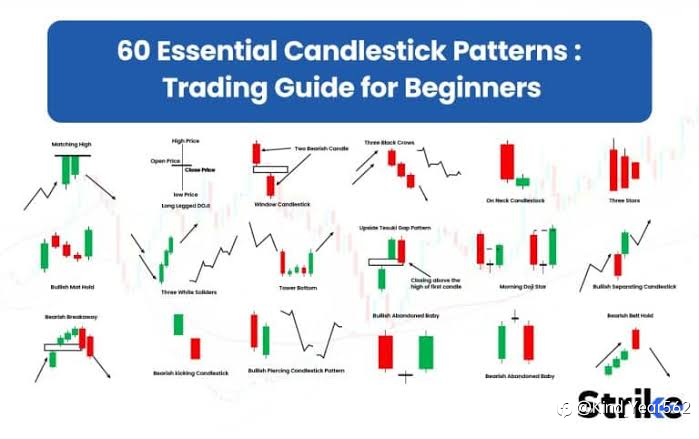 Weekly Forex Market Outlook: High-Impact Events and Currency Drivers