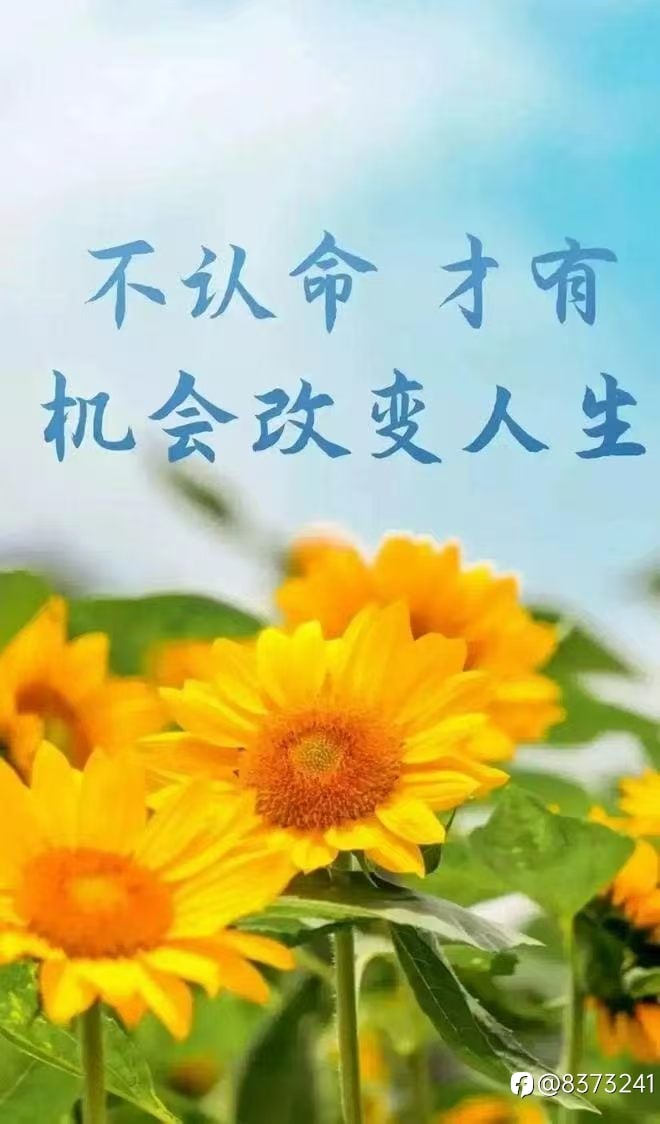以梦为马，不负韶华