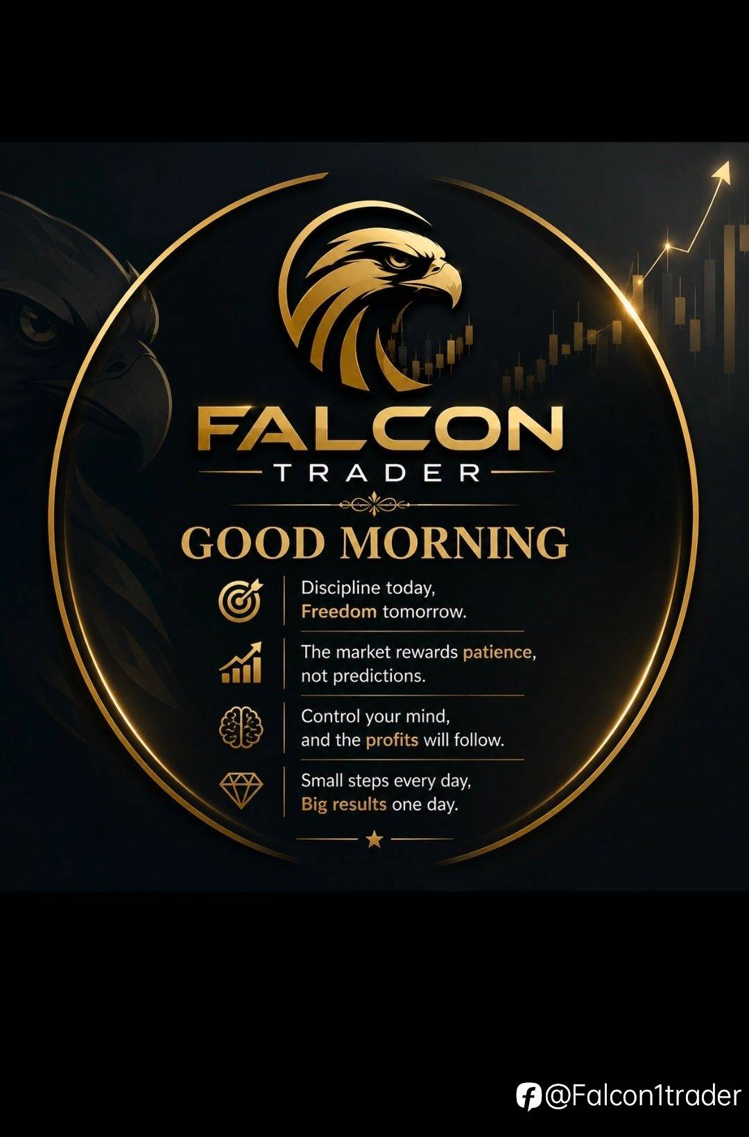 feed-image-0