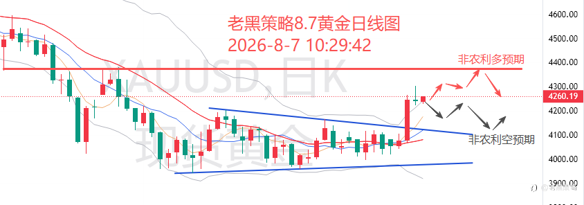 老黑策略：8.7外汇、黄金、原油分析策略