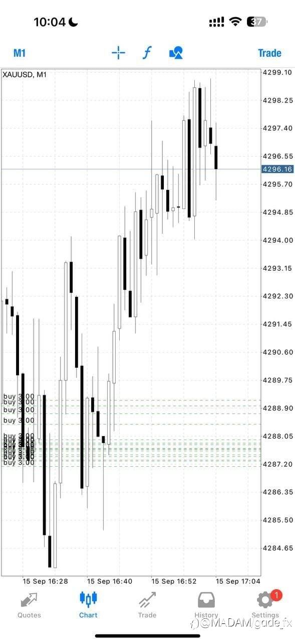 feed-image-0