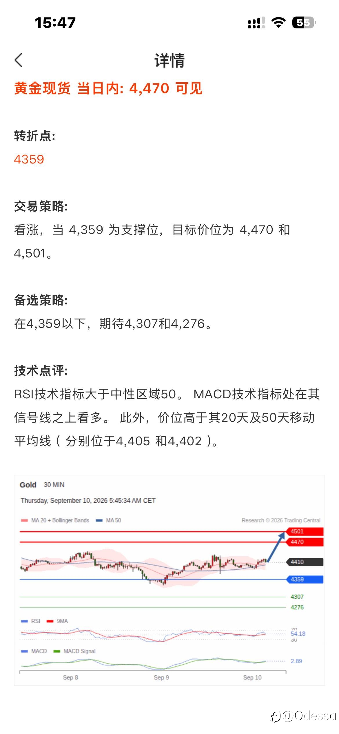 策略午报