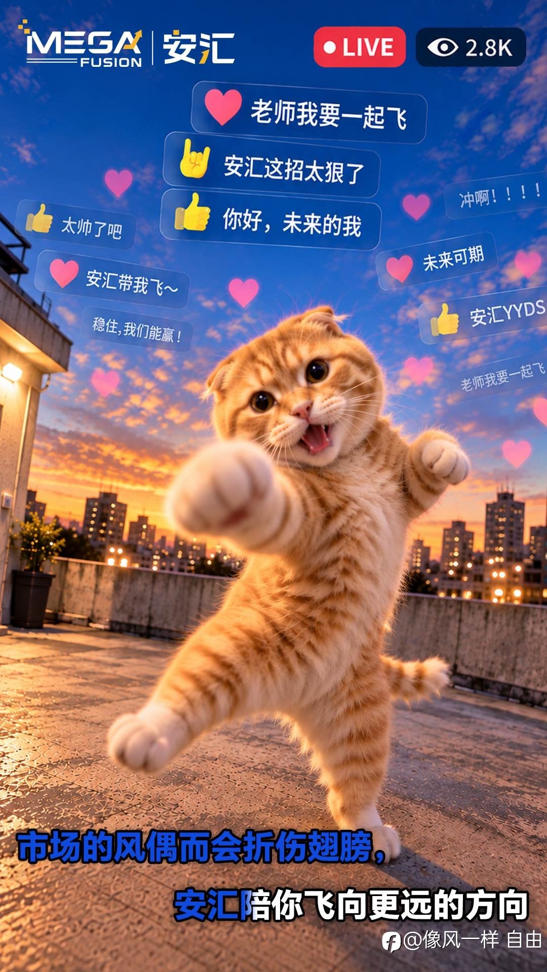 让我带你飞