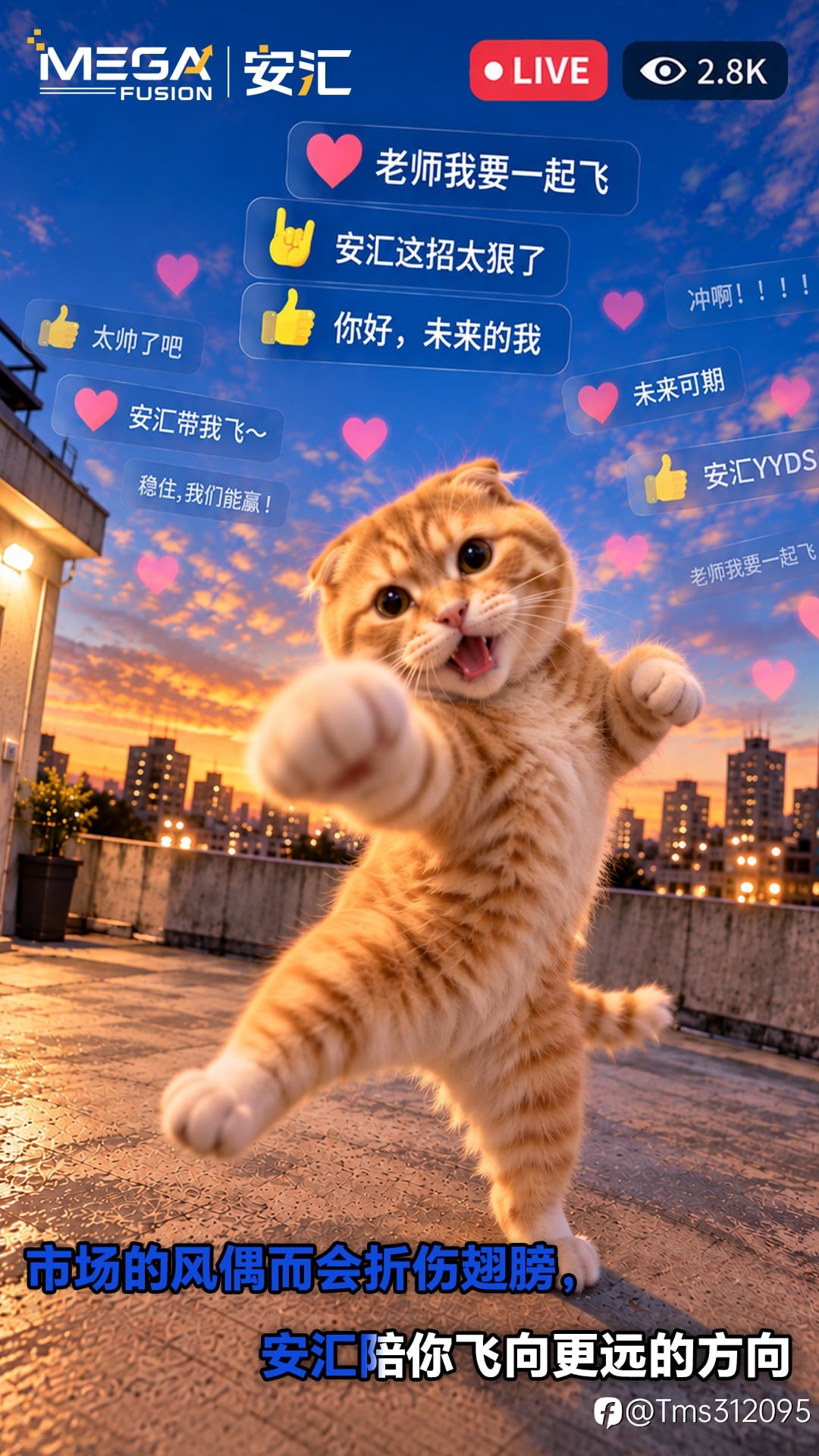 外汇交易者必看|你的出入金通道真的安全吗?(拒绝冻卡与高点差