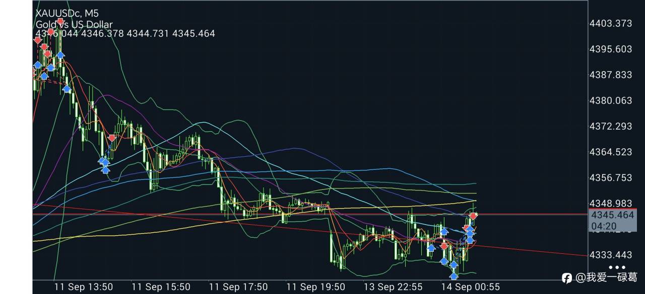 feed-image-2