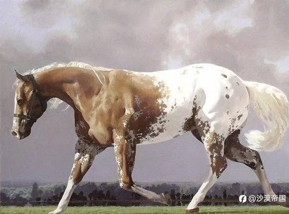 feed-image-0