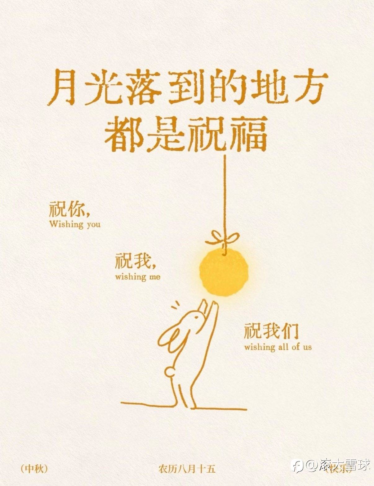 feed-image-0