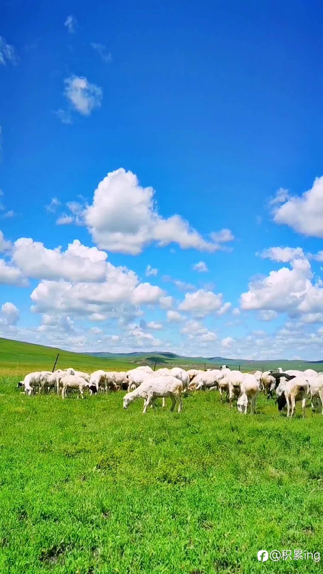 feed-image-2