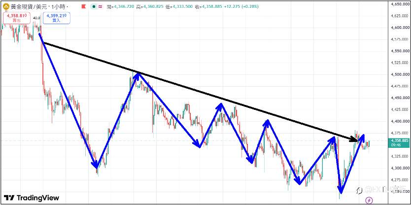 feed-image-1
