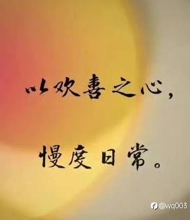 feed-image-0