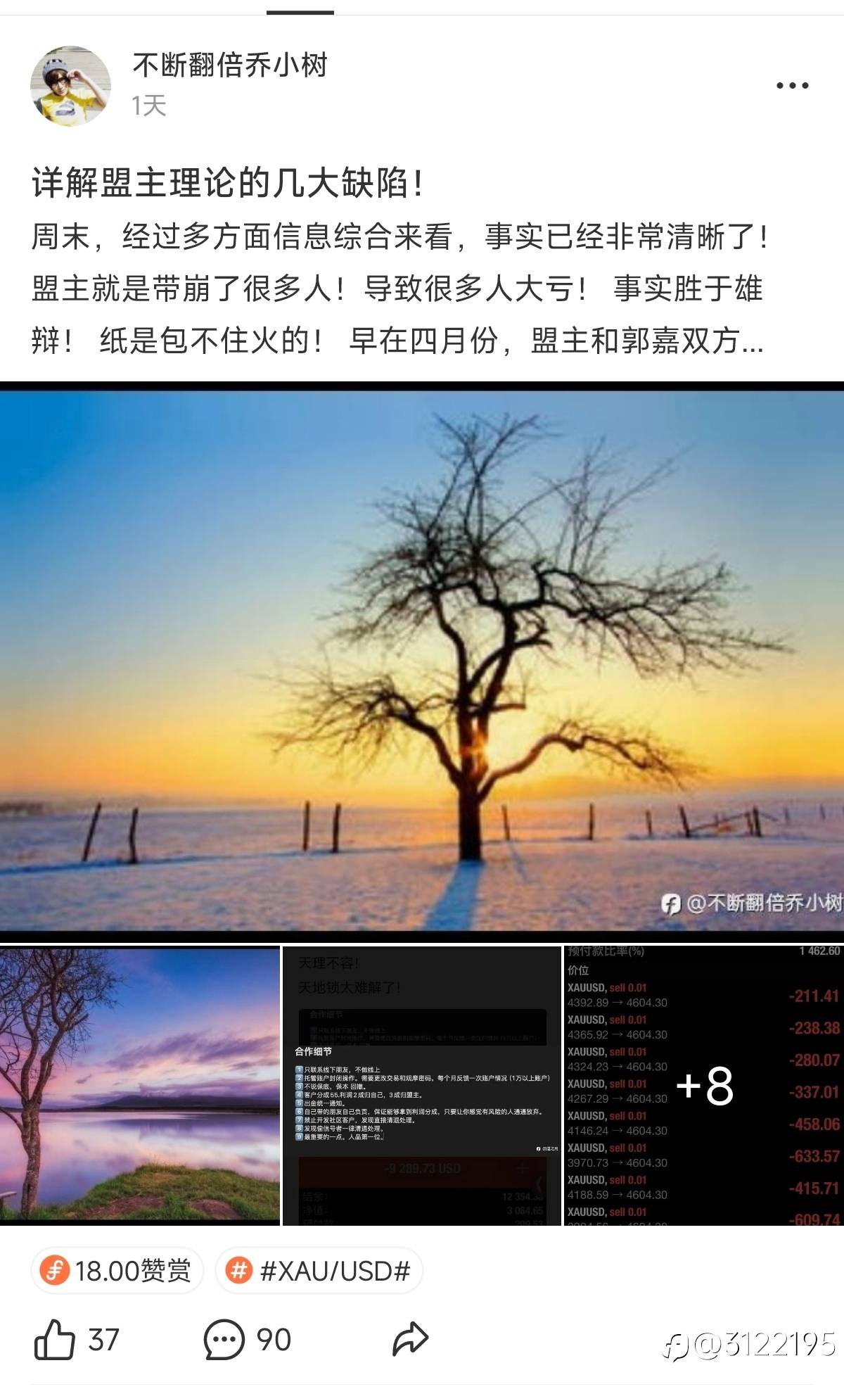 feed-image-0