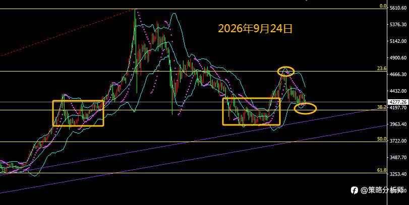 feed-image-0