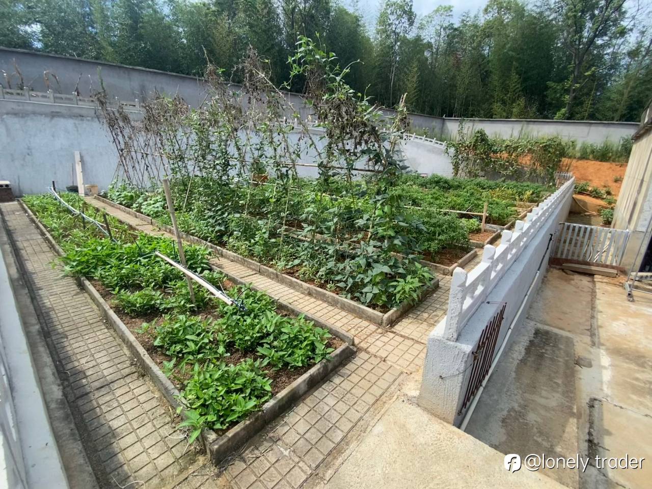 feed-image-2