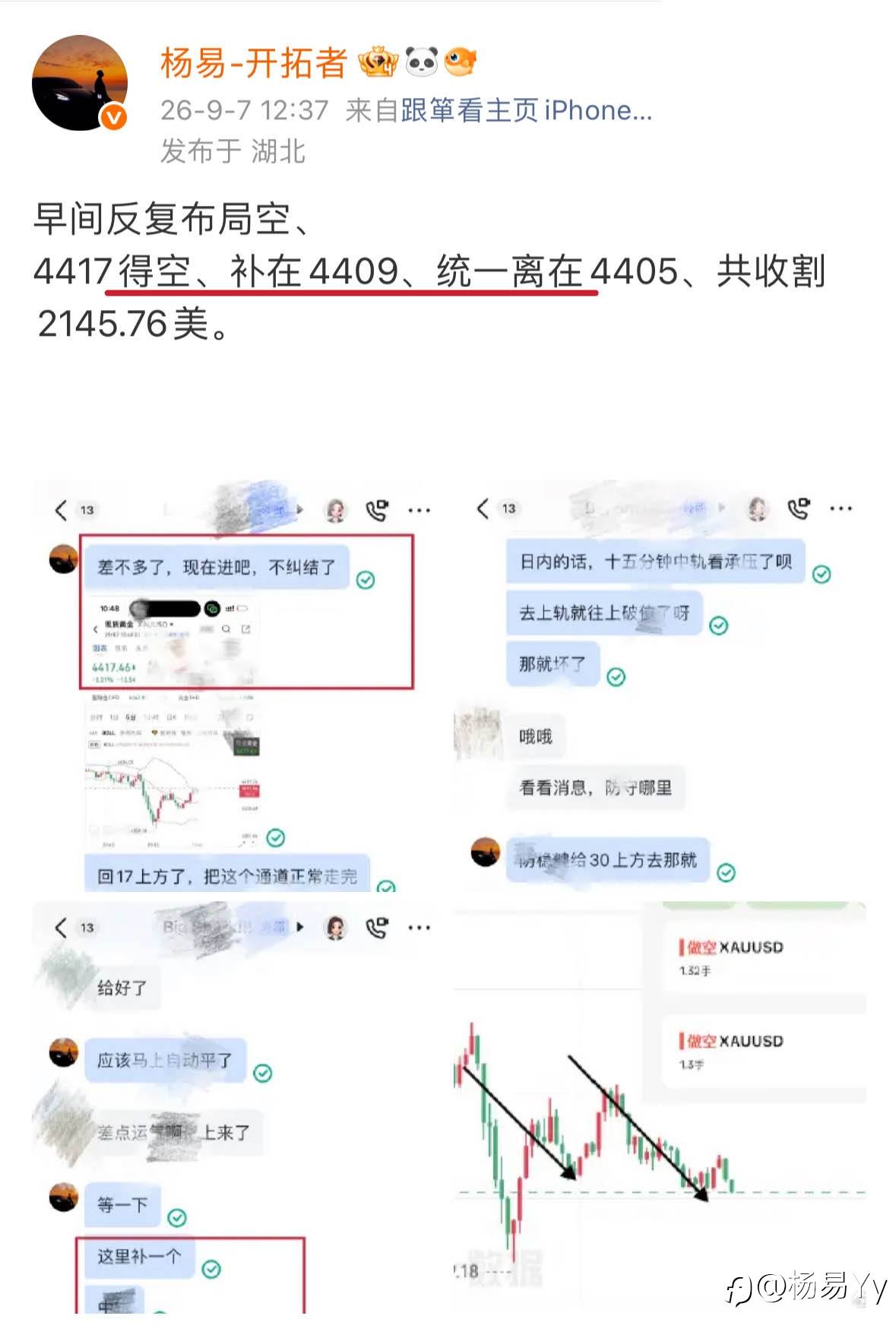 feed-image-1
