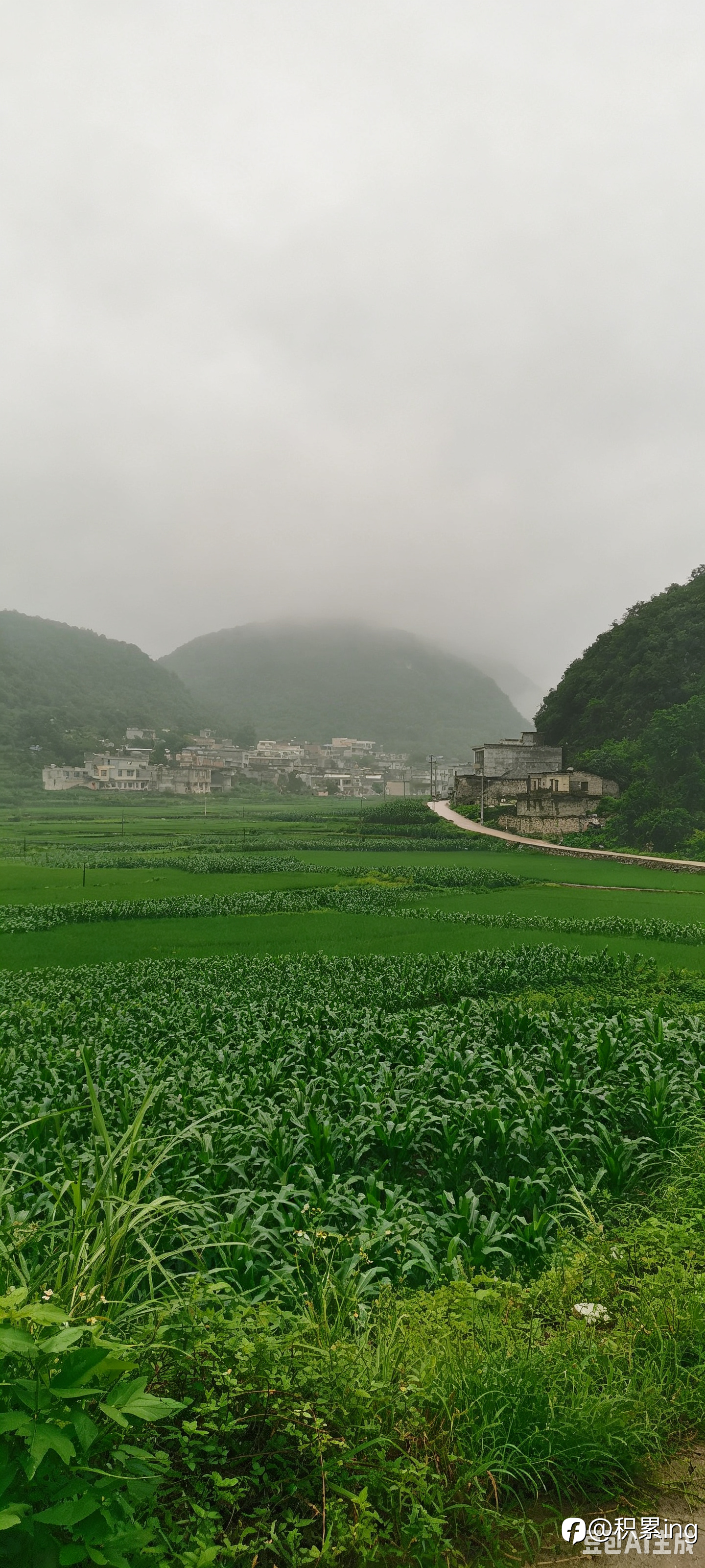 故乡