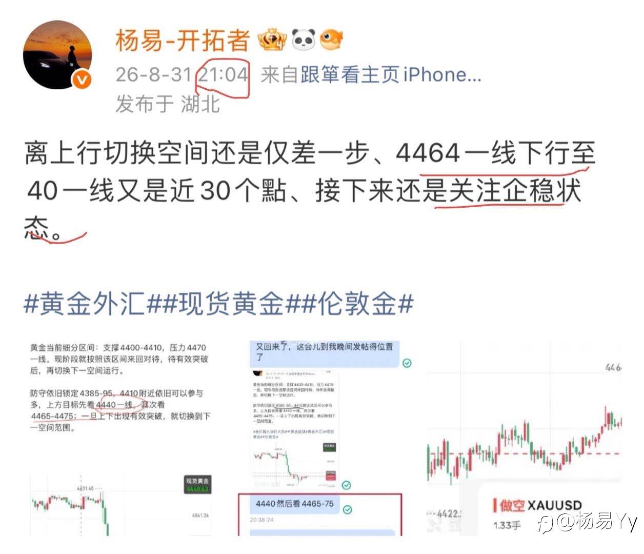 feed-image-1