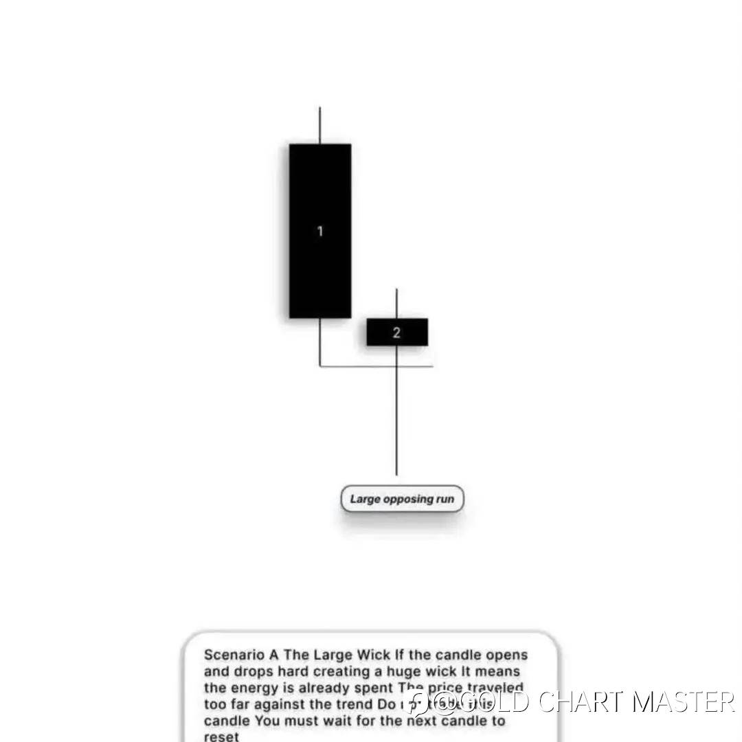 feed-image-1