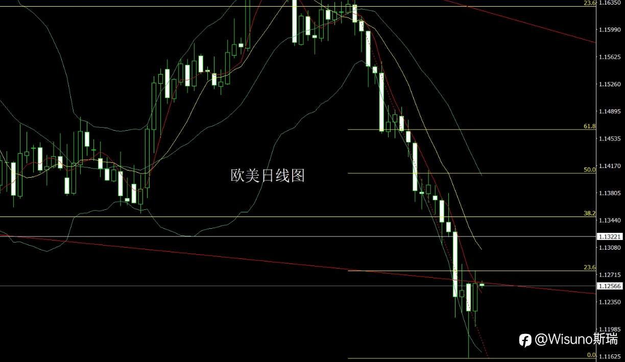 feed-image-3
