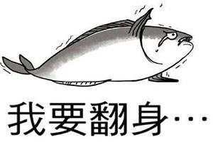 成与败，一念之差，献给在外汇市场遇到瓶颈的外汇交易者，说透了