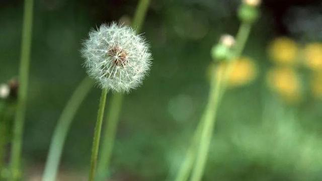 feed-image-0