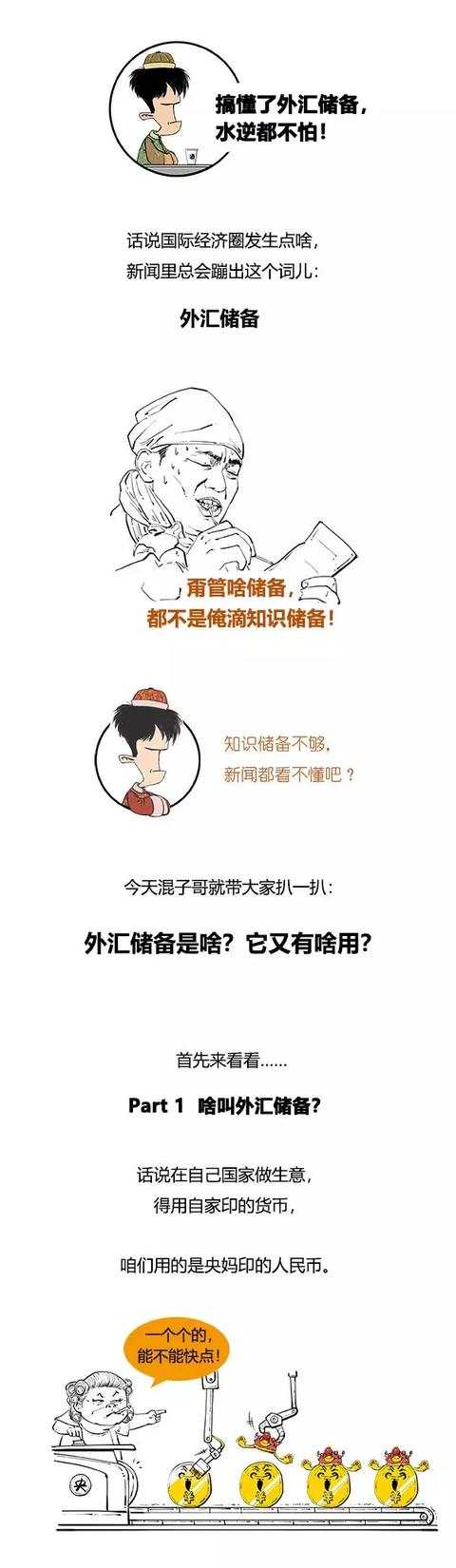 外汇储备 大事儿 经济圈 词汇 总会 新闻